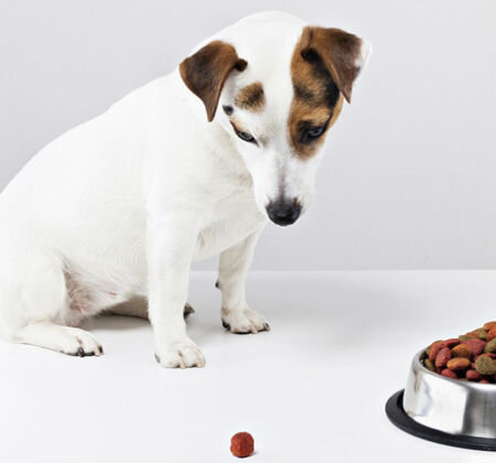 Заболевания полости рта