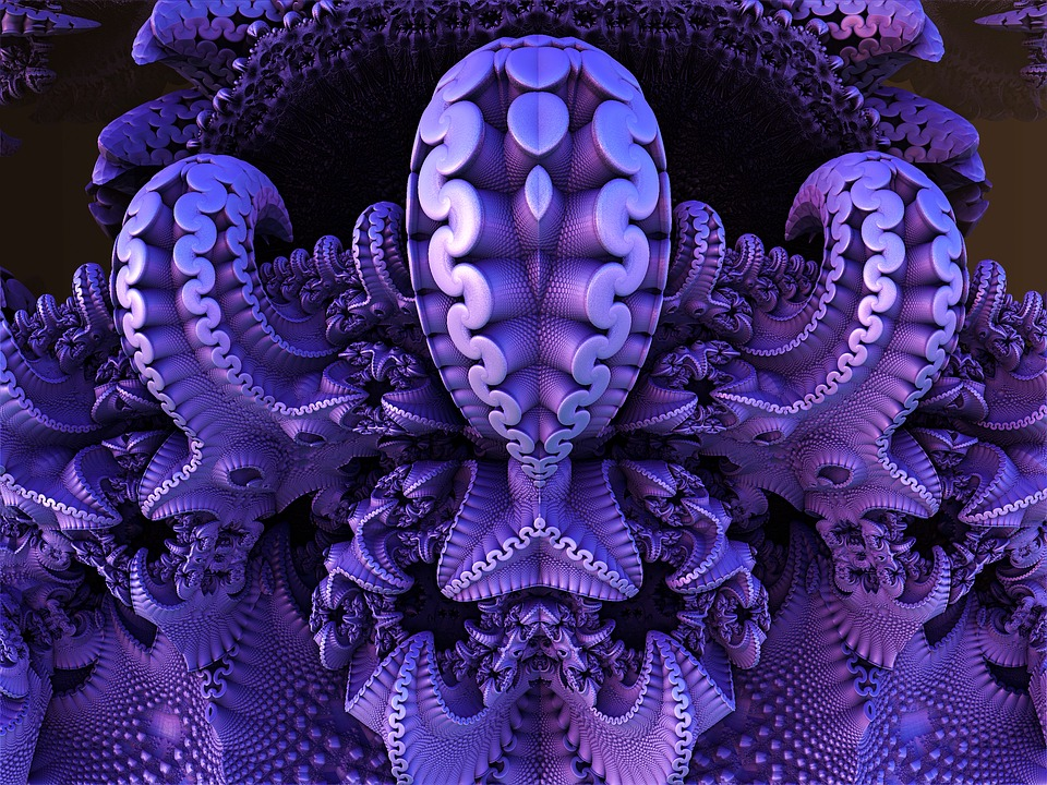https://pixabay.com/ru/photos/%D0%BF%D0%BE%D0%B4%D0%B2%D0%BE%D0%B4%D0%BD%D1%8B%D0%B9-%D0%BF%D1%80%D0%B8%D1%80%D0%BE%D0%B4%D0%B0-%D0%BC%D0%BE%D1%80%D1%81%D0%BA%D0%B0%D1%8F-%D0%B3%D1%83%D0%B1%D0%BA%D0%B0-3143936/