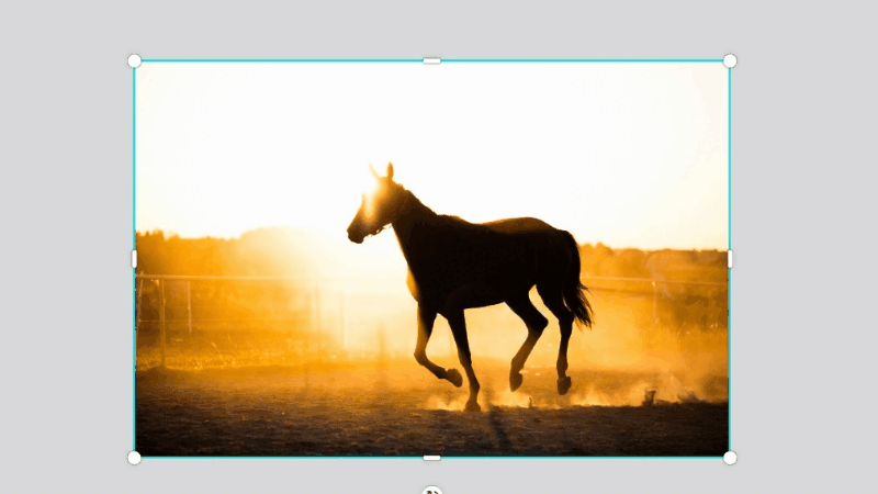 Как проверить разрешение картинки для презентации в Canva