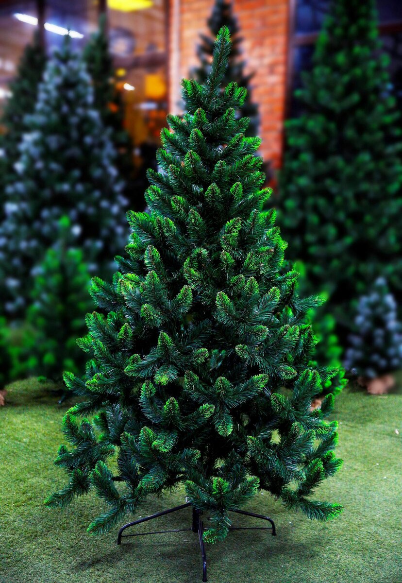 взято из открытого источника 