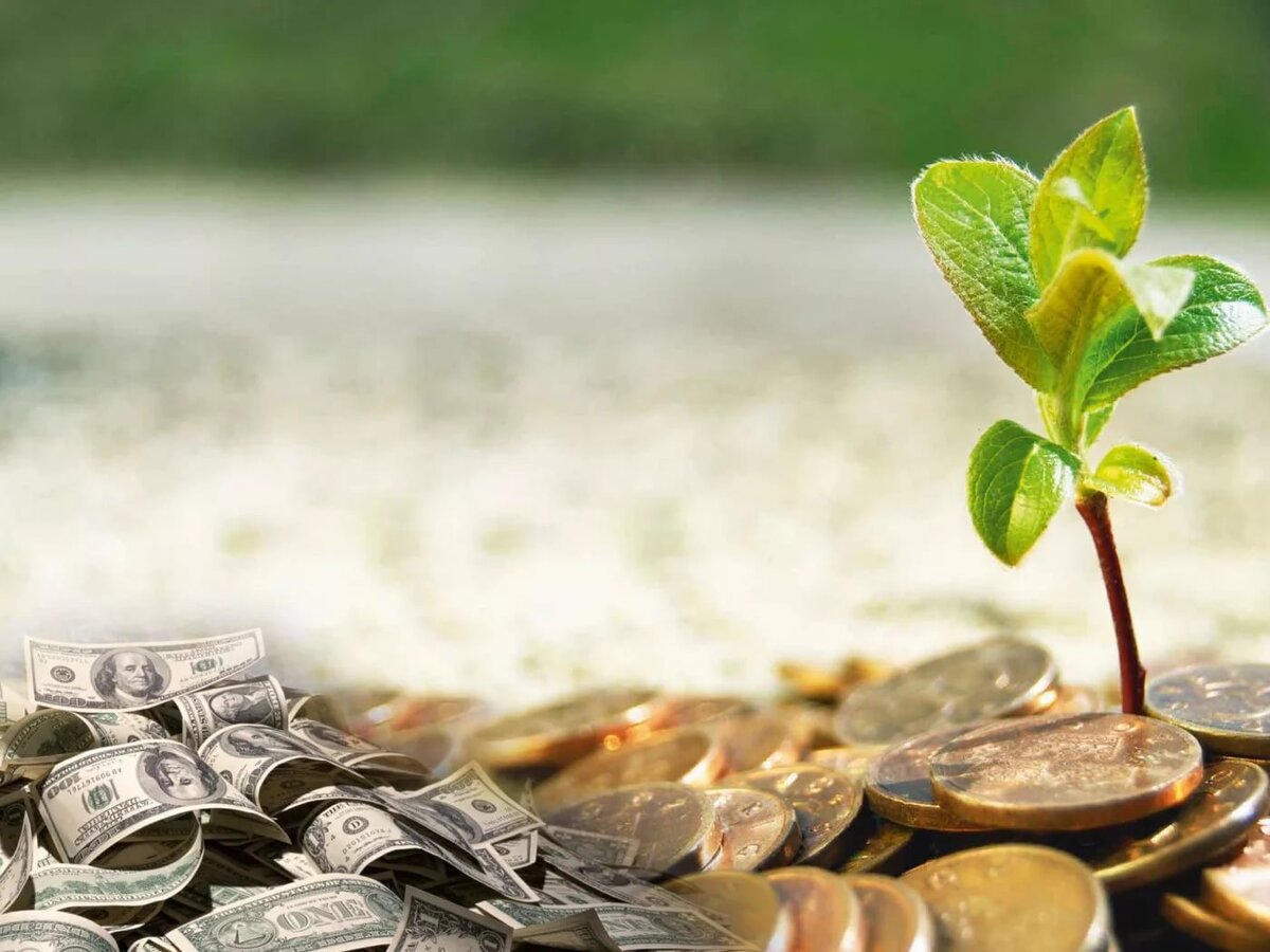 фото из свободных источников