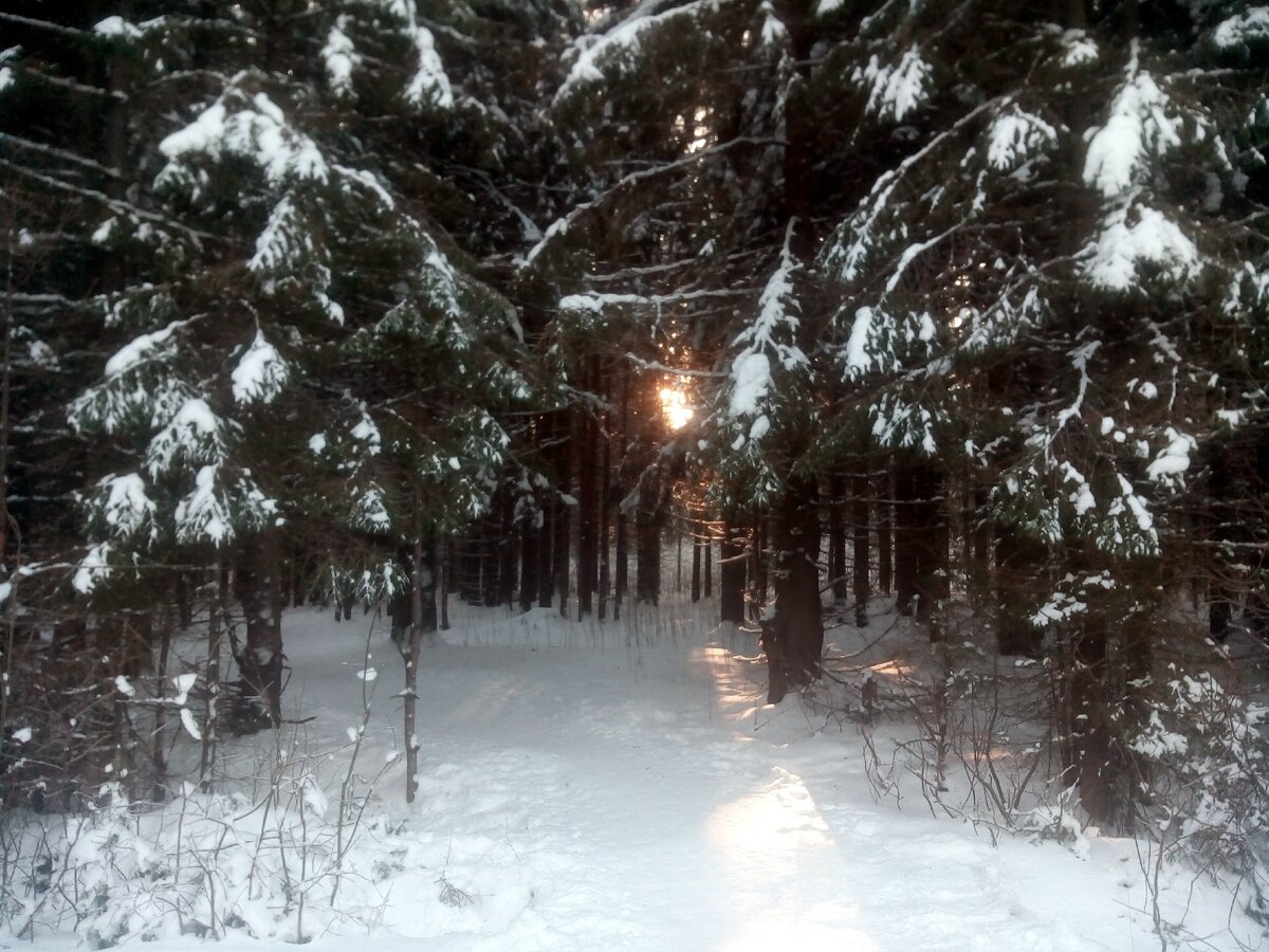 Личное фото. 26.12.2019г.