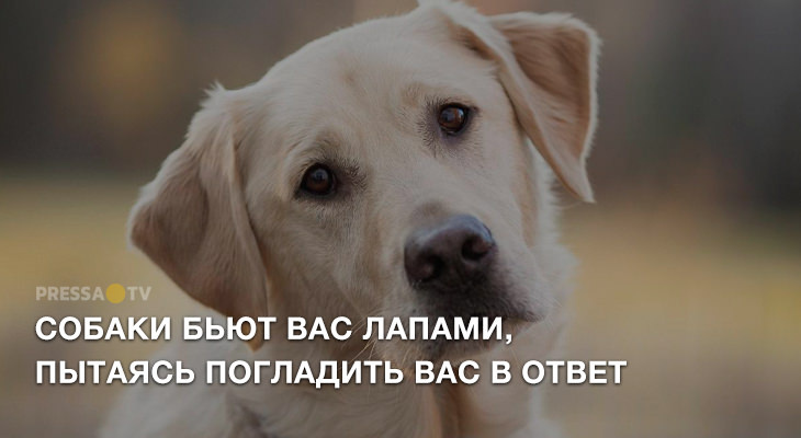   nickas   41 секунда ago