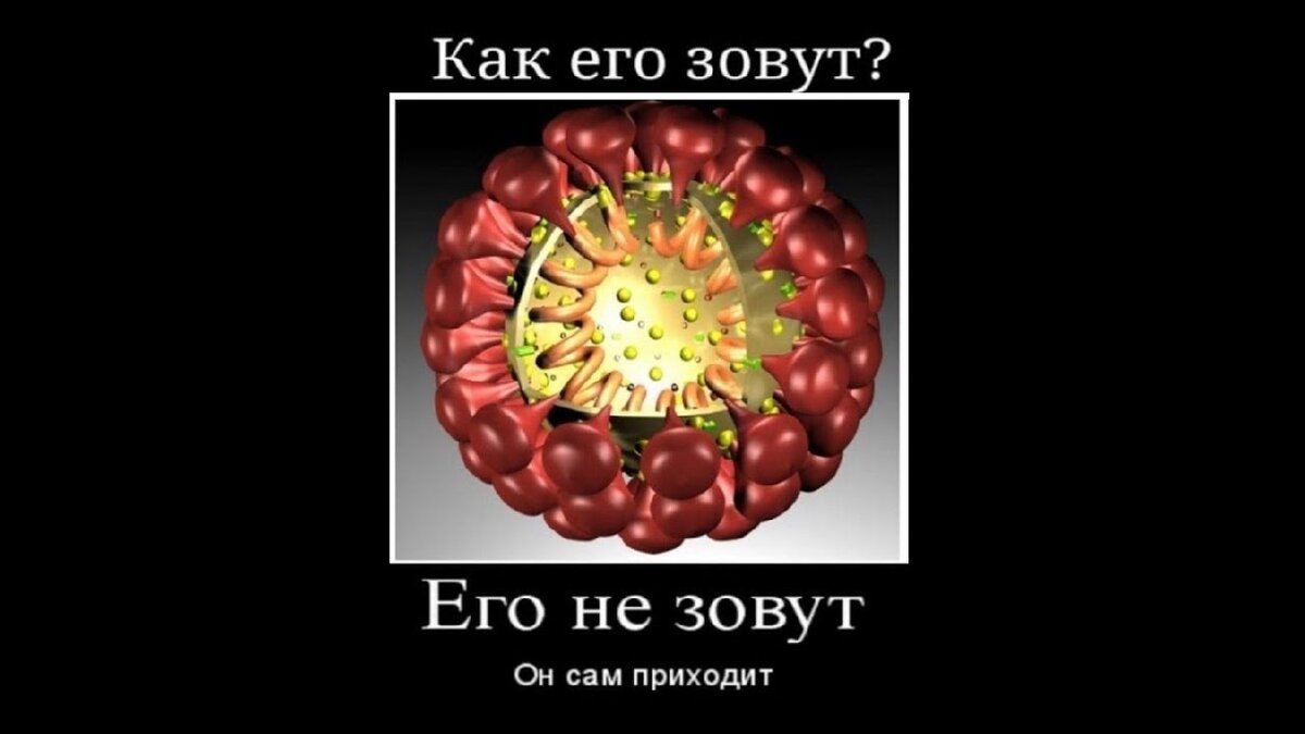 Когда я искал информацию по коронавирусу, я наткнулся на то, что уже на момент сбора информации количество одних только официальных жертв вируса было 25 тысяч. Не на конец эпидемии, а на момент сбора информации. Вот в этот момент я икнул. Если сравнивать официальные данные, это получалось в два раза кошмарней эболы. Но есть одно маленькое “но”.