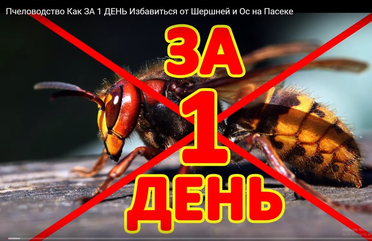 Из видео вы узнаете как именно это сделать.