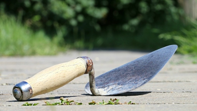  Фото: pixabay.com 