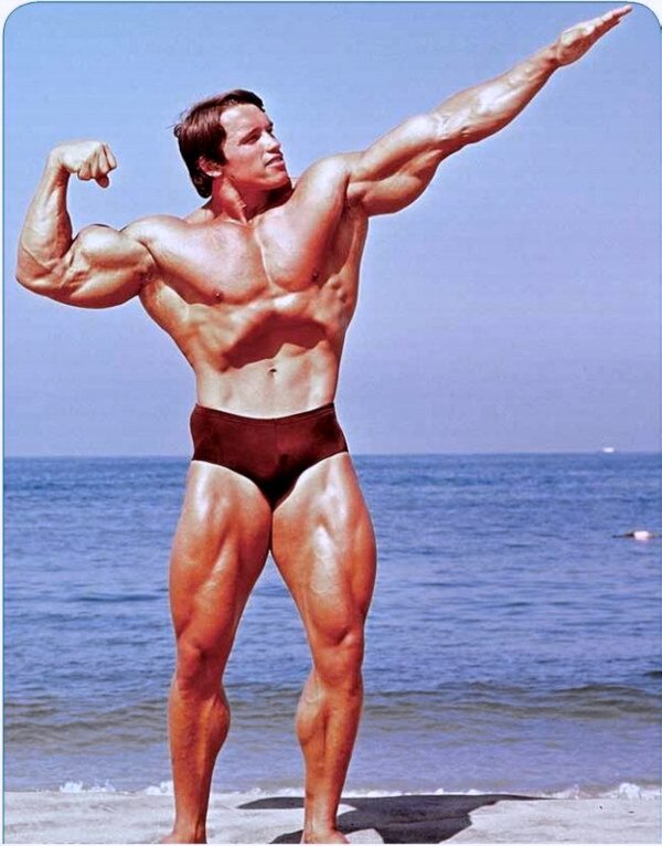 Arnold Schwarzenegger в молодости спина