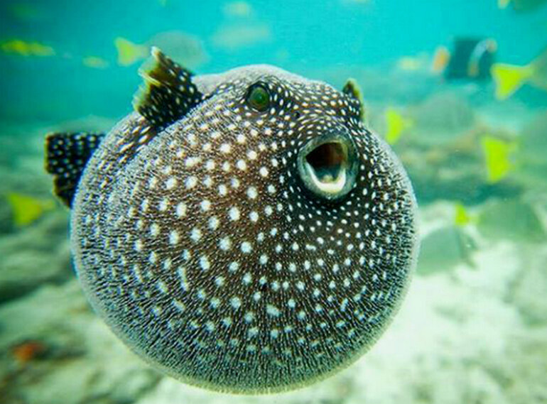 Источник: yandex.ru