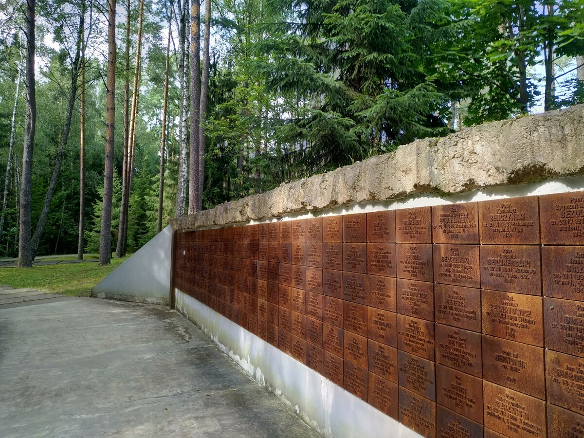 расстрел в лесу. лагерь военнопленных бухенвальда. расстрел в лесу. расстрел в лесу. расстрел в лесу.