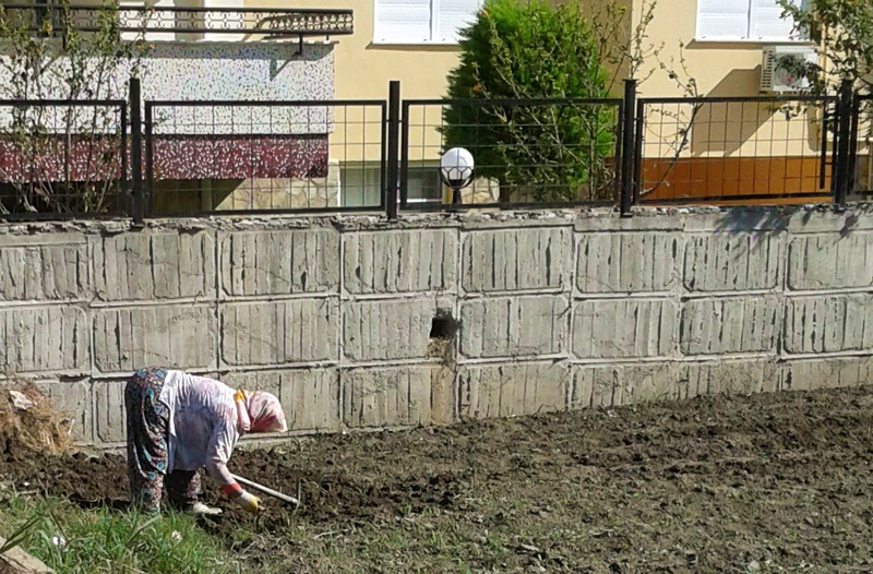И так целый день. Махмутлар. Турция.