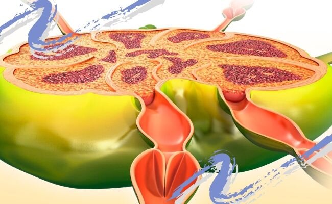 Image Team / Canva.com