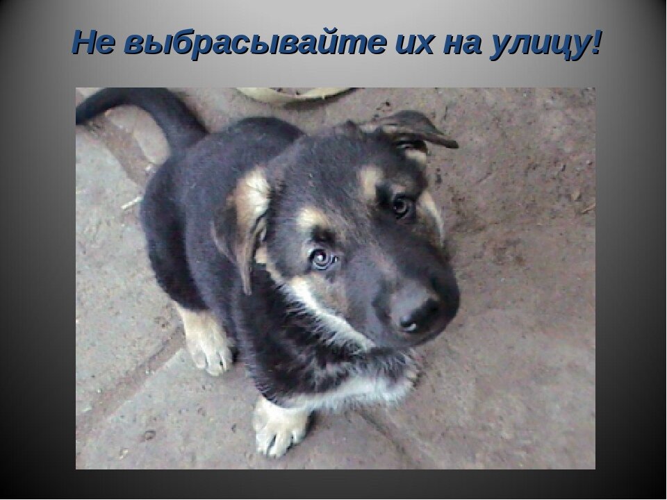 картинка из свободного источника. https://ds03.infourok.ru/uploads/ex/11ef/0000c1b6-8617defa/img3.jpg