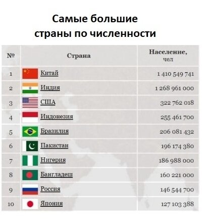 ТОП-10 самых больших пород собак с кратким обзором характера и ухода