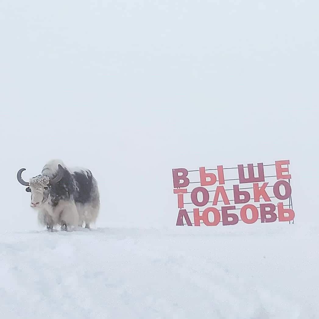 Выше только любовь домбай