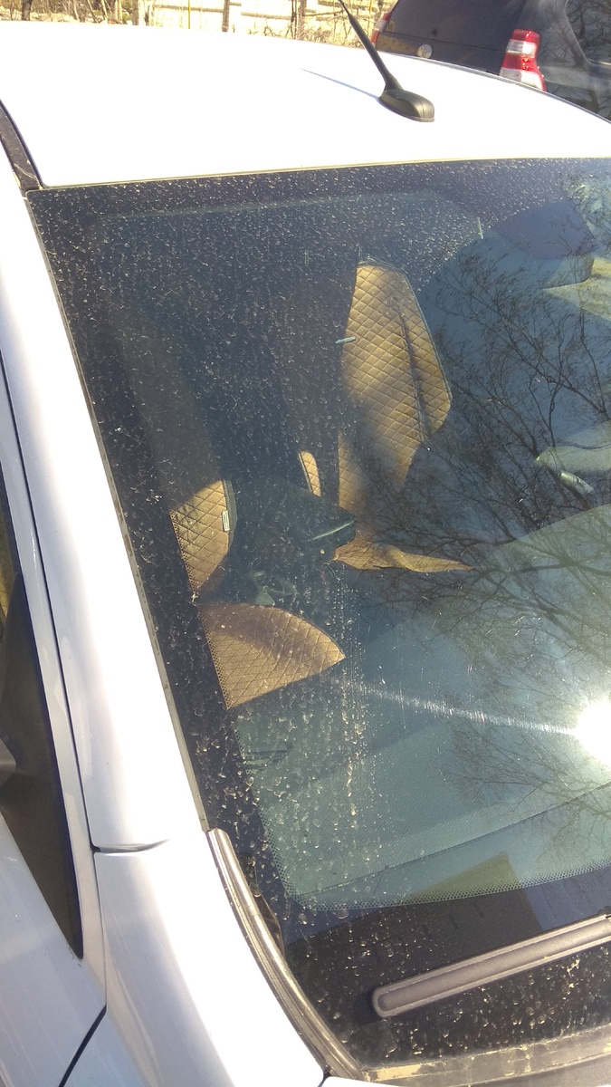 Пассажирская сторона 