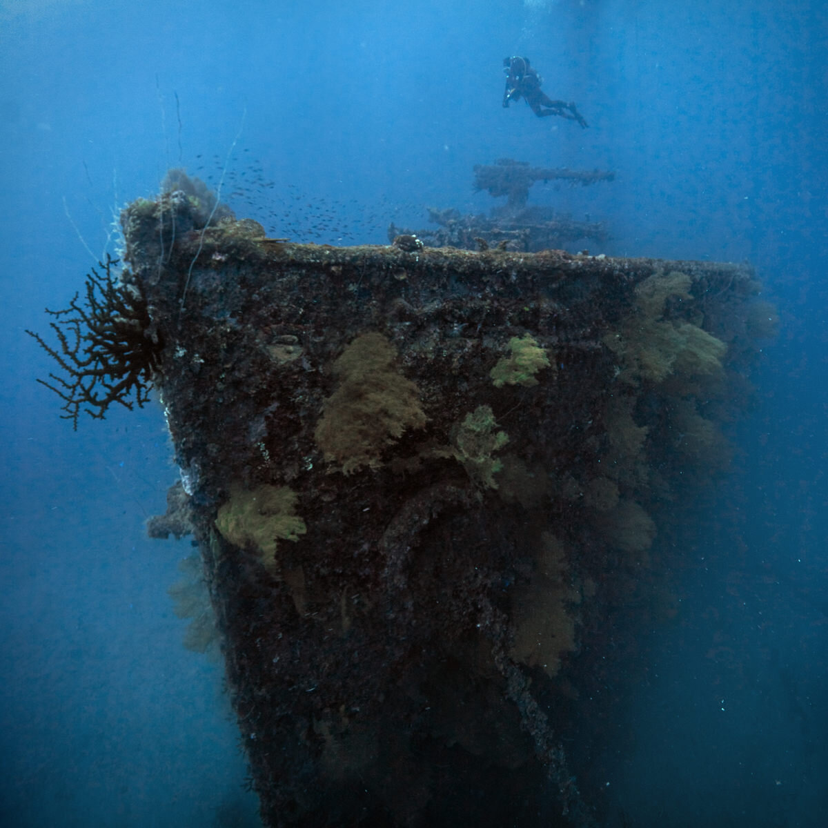 дно атлантического океана. на дне мирового океана. на дне мирового океана. подводные пейзажи. павлопетри, греция.