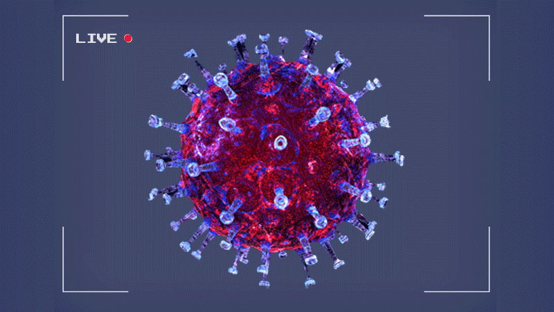 Фото в свободном доступе из интернета