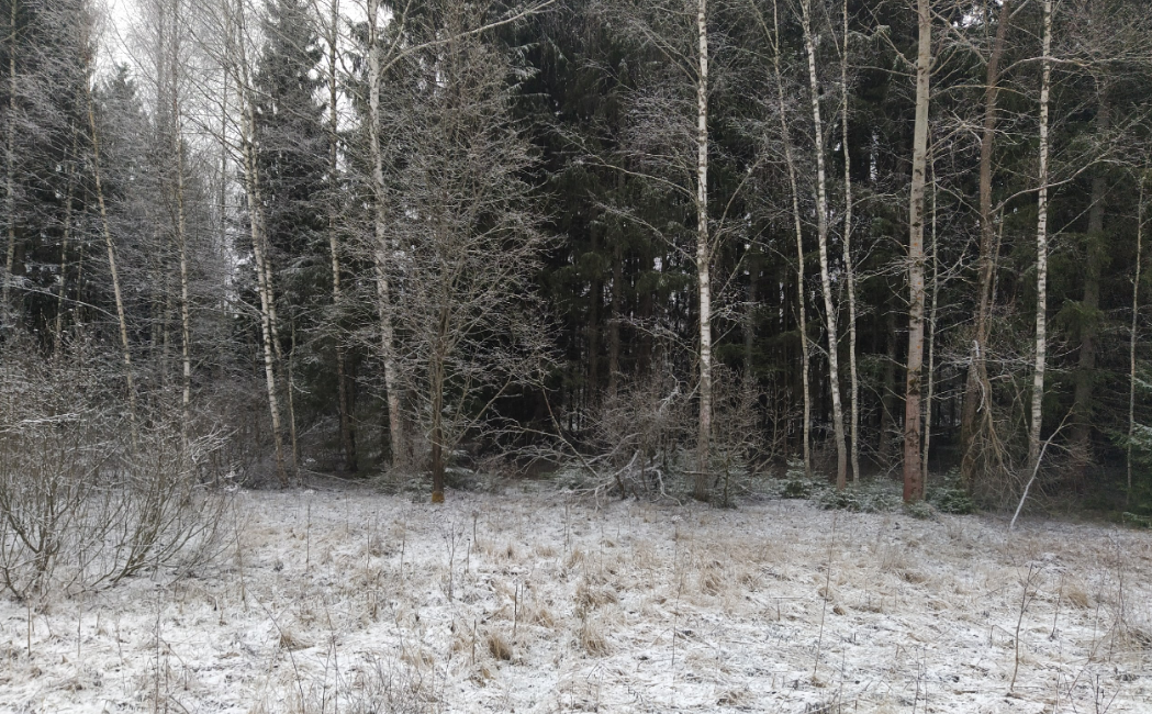 Выход к полю со стороны Калужской области. Погода не радует.