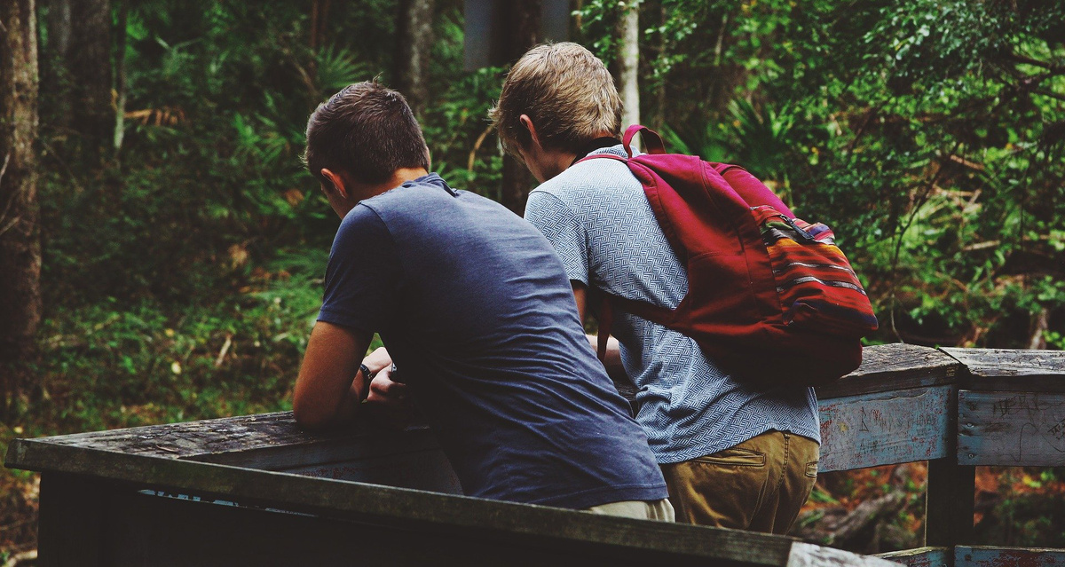 Изображение Free-Photos с сайта Pixabay 