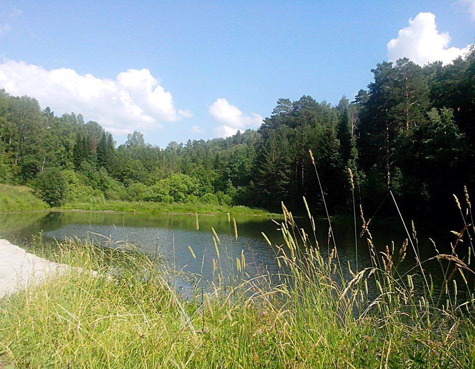 Пруд Ботанический  сад СО РАН   фото Виллевальд Маргариты 