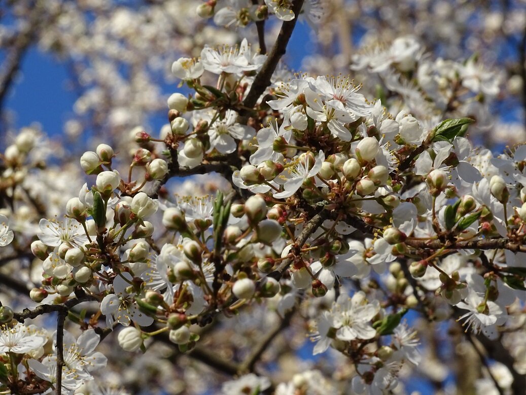 25 апреля 2020 года