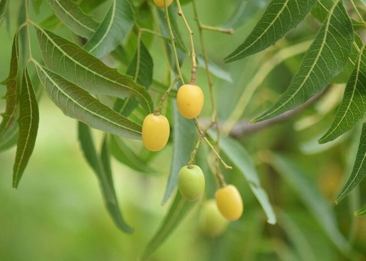 Источник:https://pin.it/7DNeHZq