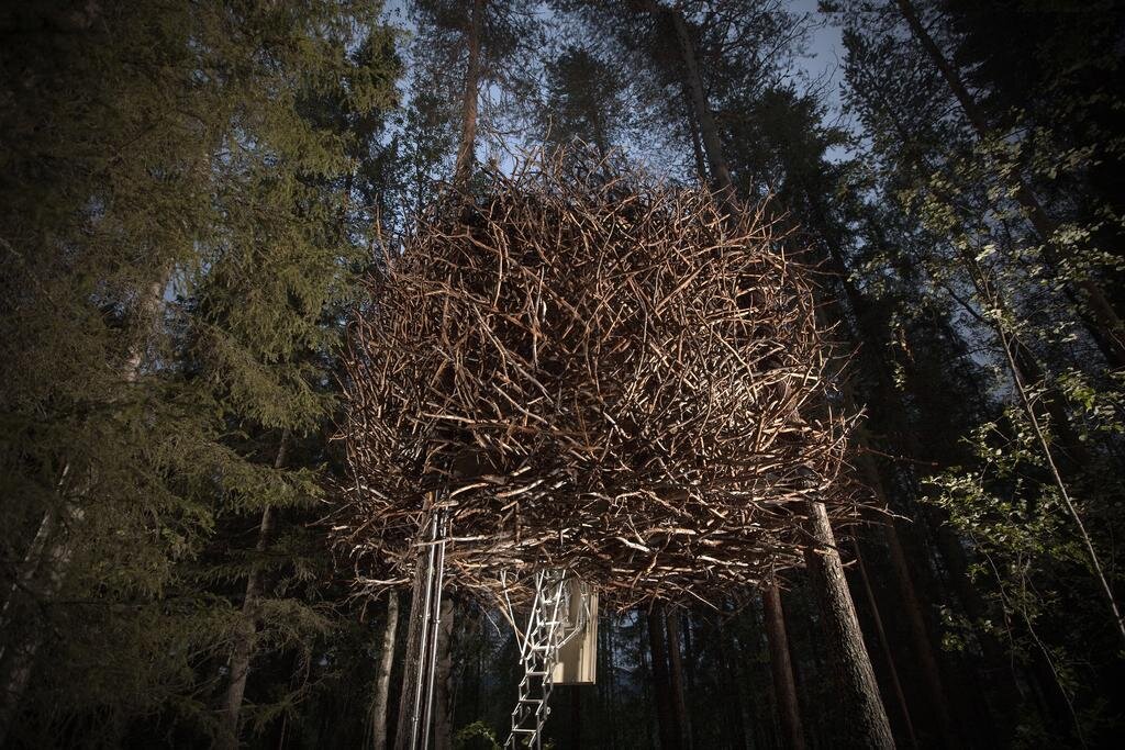 источник: treehotel.se