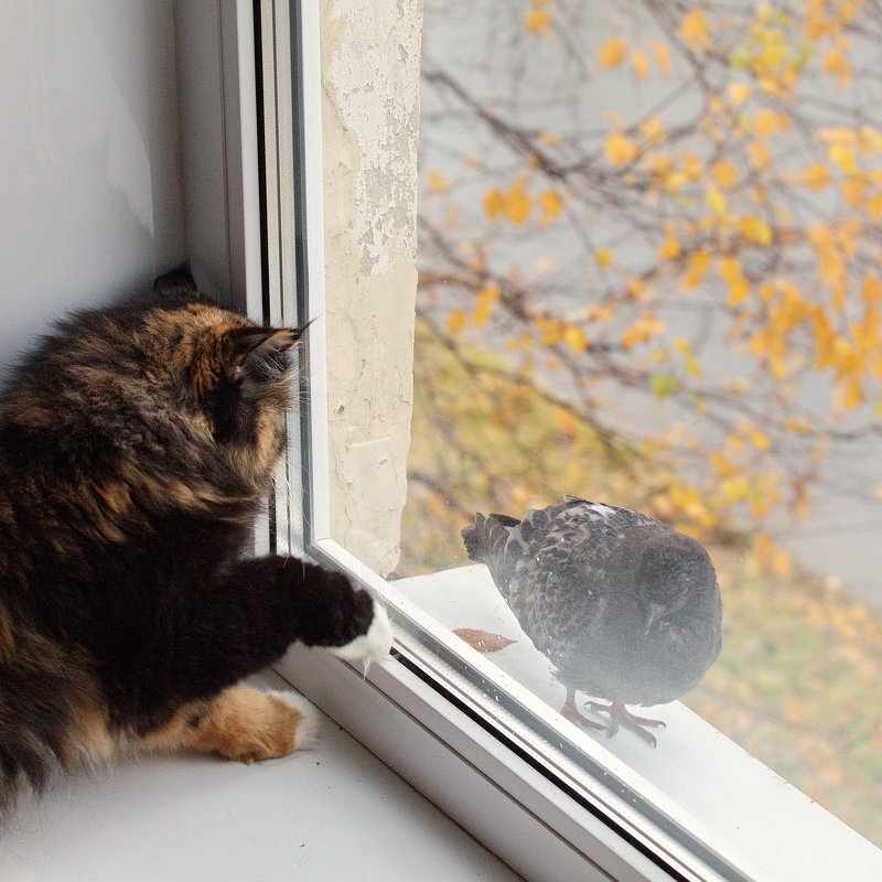 Источник: Яндекс.Картинки