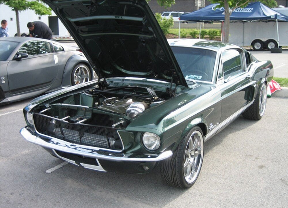 Фото из поисковой системы