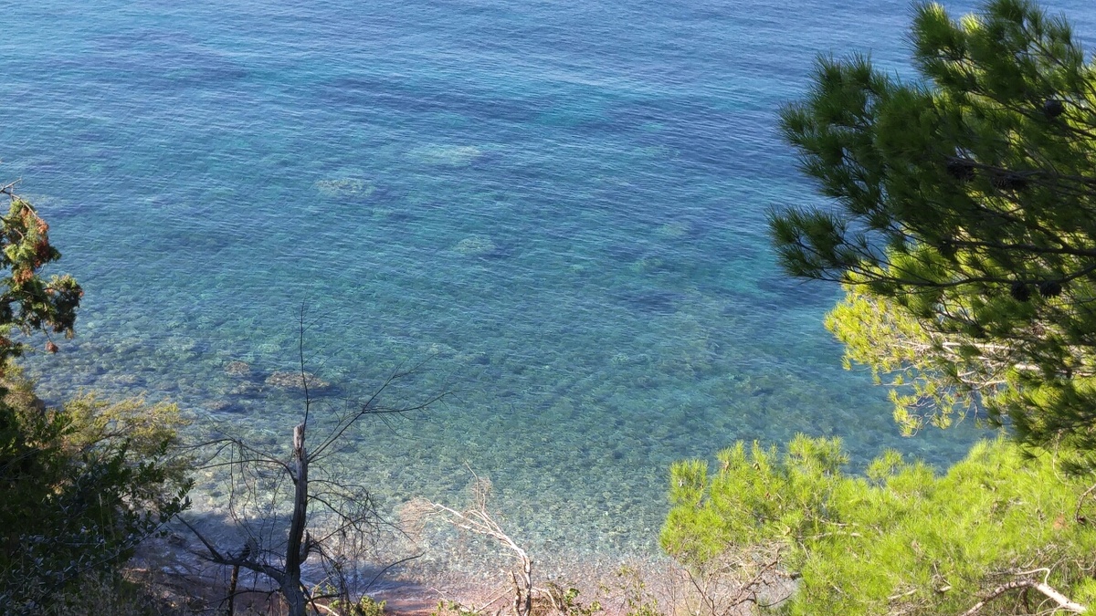 Вид на море с горы у Свети Стефана, Черногория