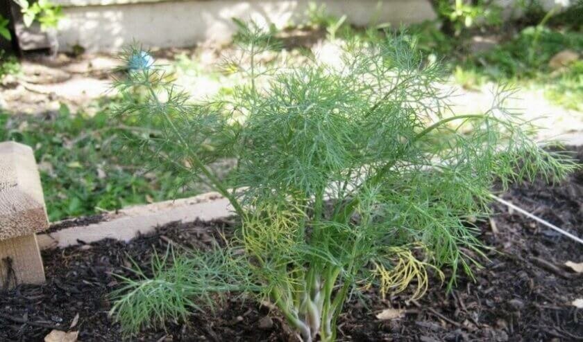 Источник ekotec.com.ua