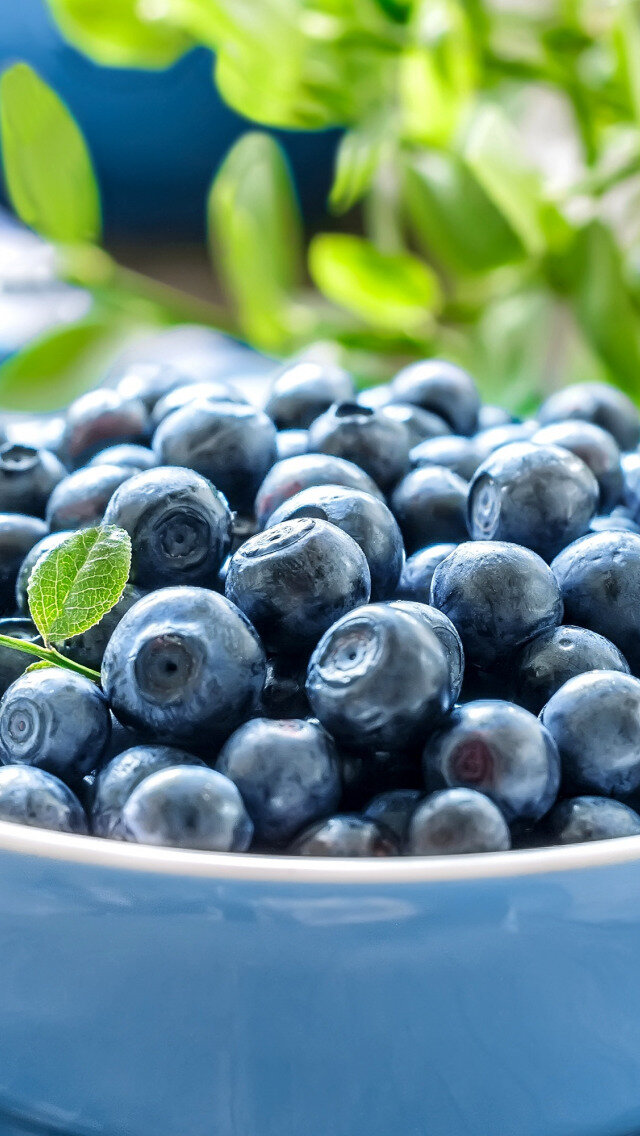 Фото из интернета