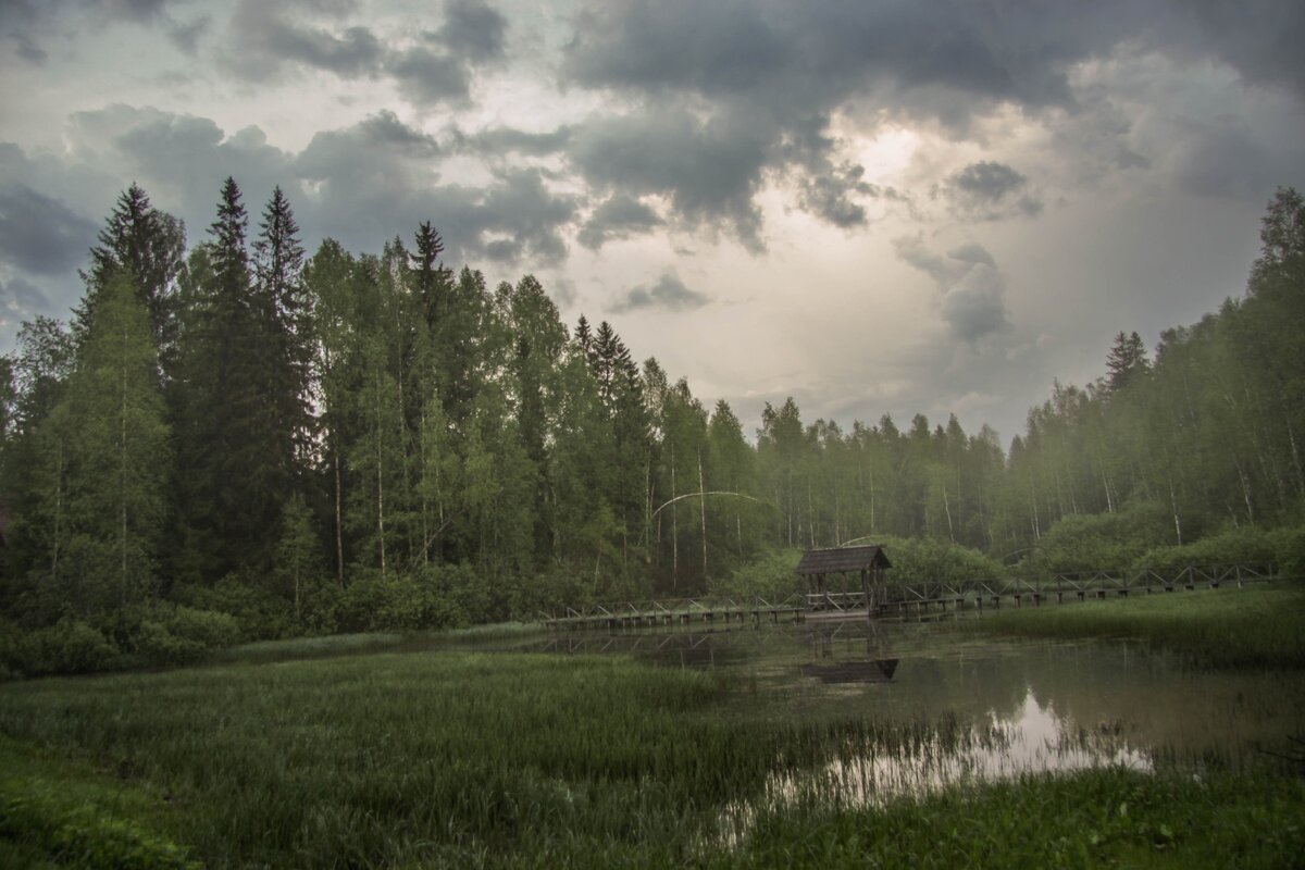 Центр лес. Центрально-Лесной заповедник Тверская область. Заповедник Нелидово Тверская область. Центральный Лесной заповедник Нелидово. Центральный Лесной биосферный заповедник Тверская область.