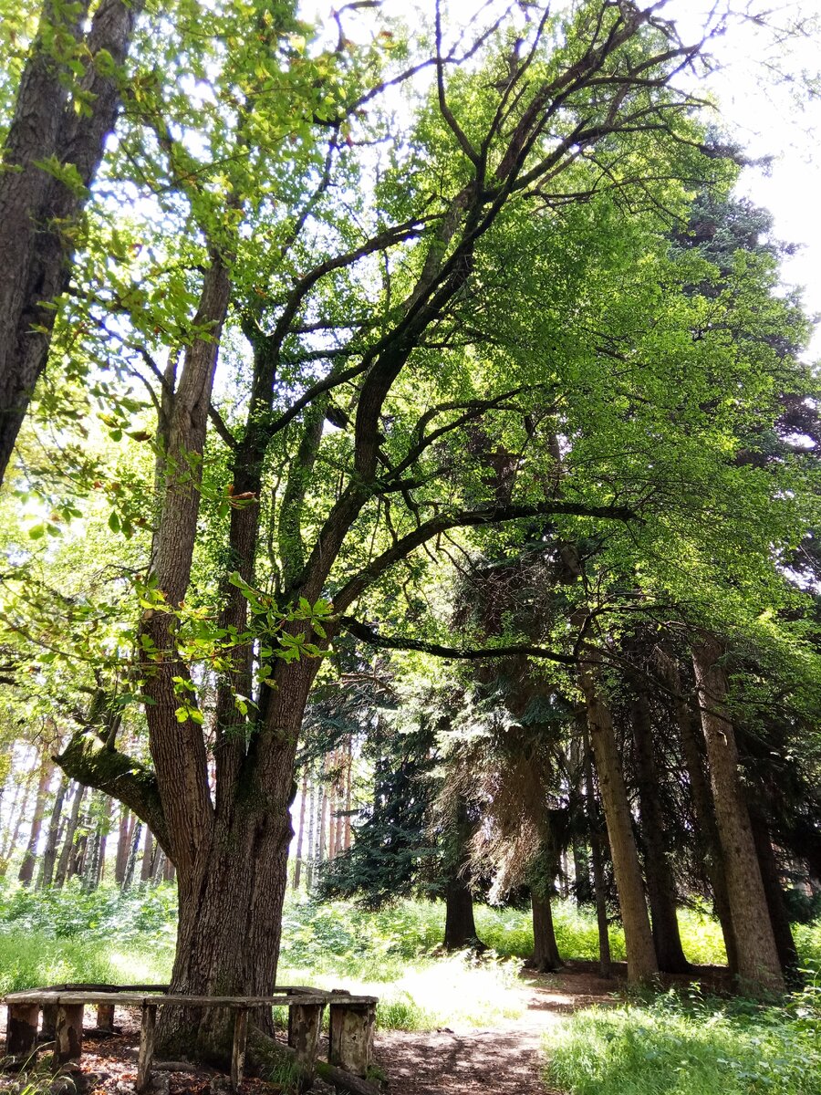Фото из личного архива автора. 