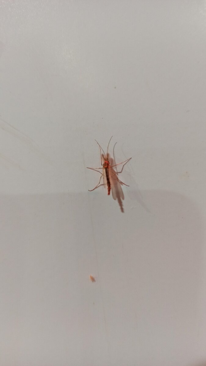 Видел таких? 