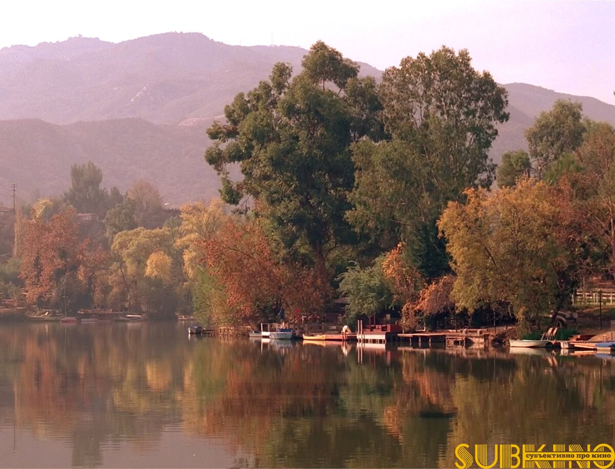 Кадр из сериала Твин Пикс (1990-1991) 