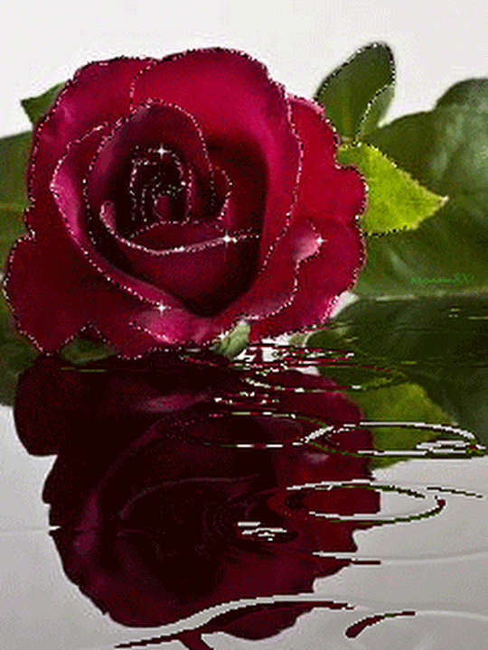 pinterest.com
