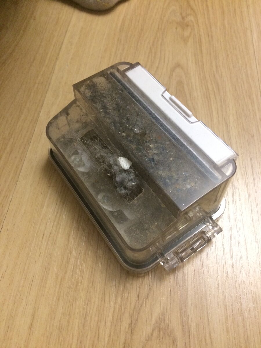 Полный контейнер с пылью и шерстью