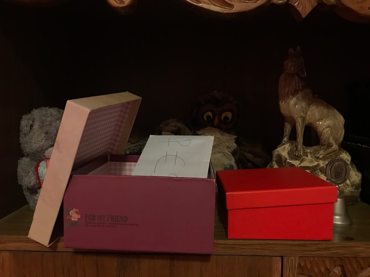 Коробочки поставили рядом, чтобы сфотографировать