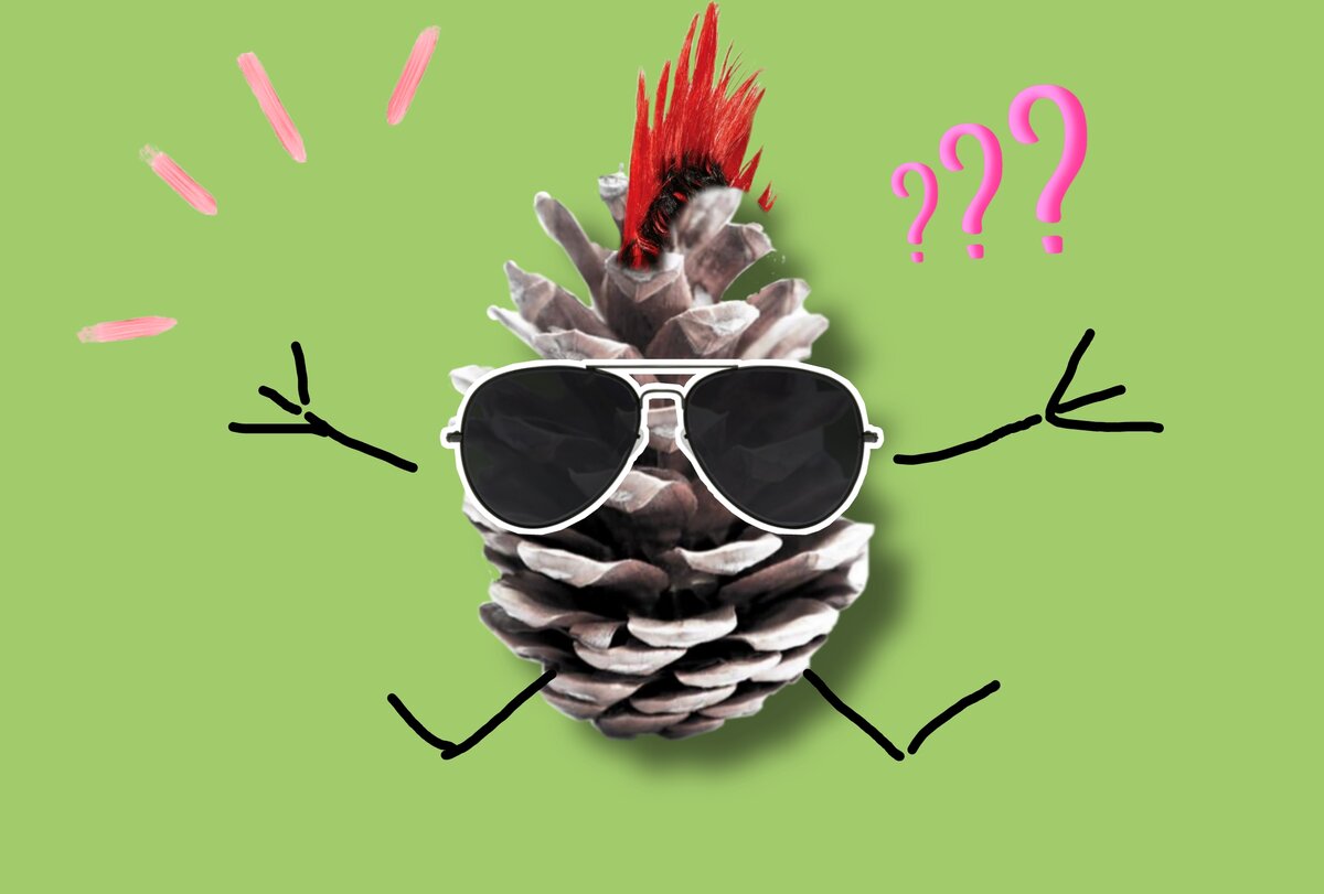 Что я представляю, когда кого-то называют шишкой. Рисунок автора