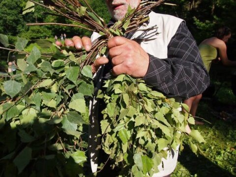 Эксперты выделяют следующие сроки заготовки веников: ориентировочно с 15-х чисел июня и примерно до середины июля (после Петрова дня, т. е. после 10 июля) можно уже смело готовить березовые аксессуары для бани. К этому времени береза уже отцветает, опадают сережки, а это идеальное состояние для срезания стеблей.
