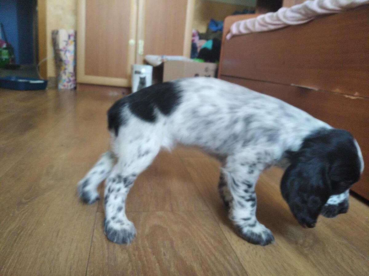 Мия фото из личного архива