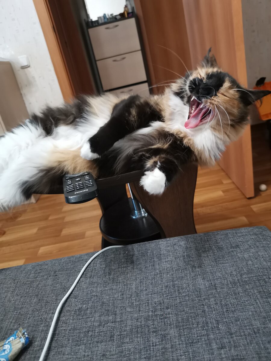 "Опять ты там фигню какую-то пишешь? Я сейчас усну!" 