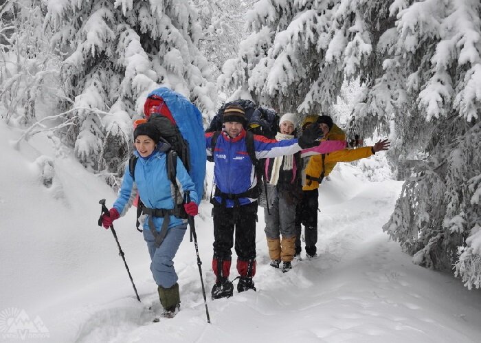 Фото Яндекс Картинки.   Зимний поход