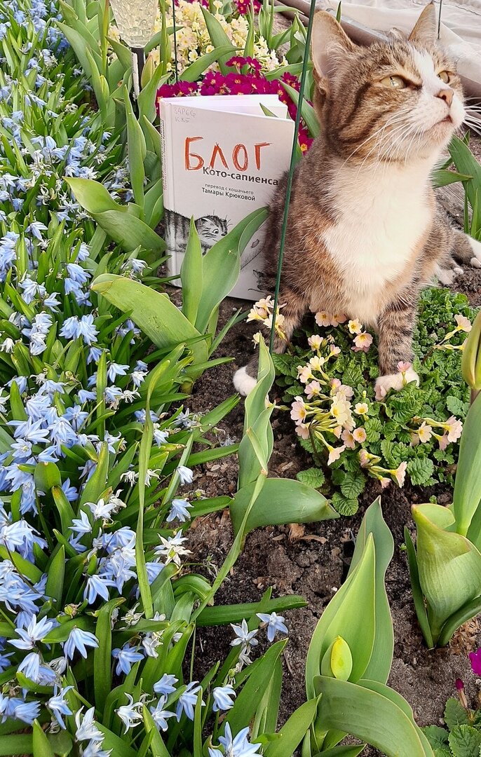 За фотографию благодарим наших друзей из псковской библиотеки ЛиК