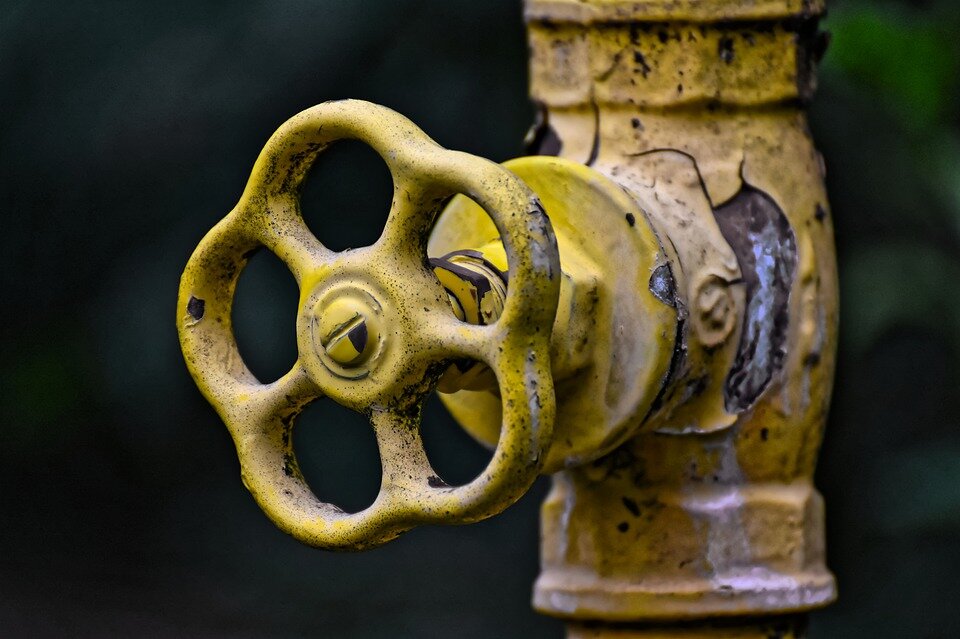 Фото: pixabay.com