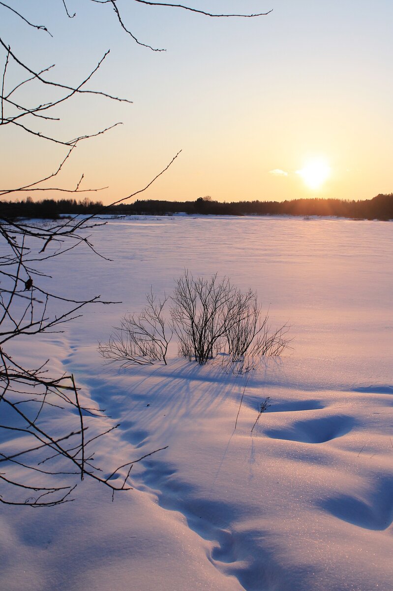 Тропинка рыбака у д. Сигово. Фото автора