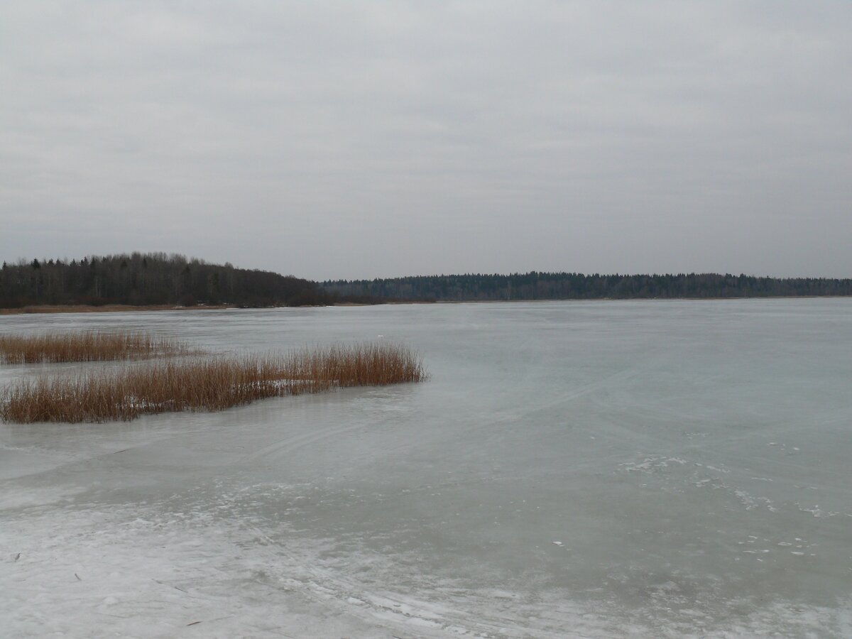 Фото из личного архива. Донцо зимой.