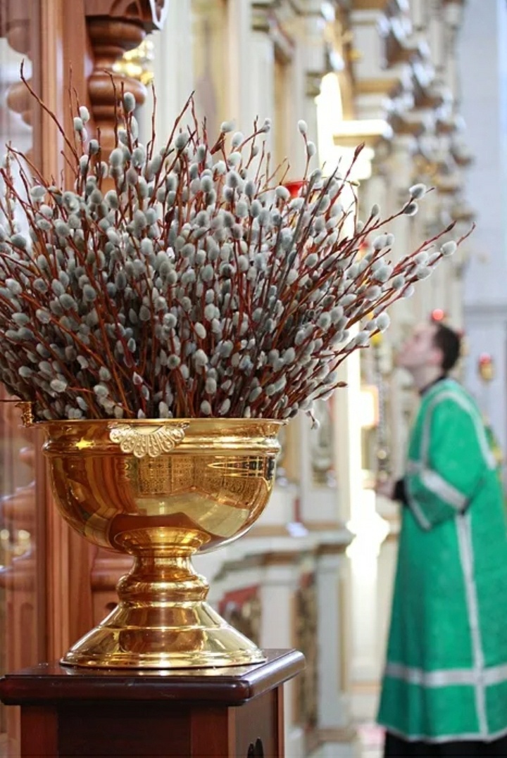 Яндекс.Картинки