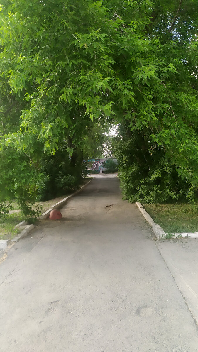                                  Дорога домой с работы)